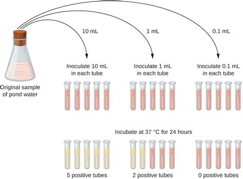 most probable number in microbiology|Most Probable Number (MPN) Test .